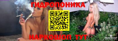 гашик Бийск