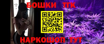 гашик Бийск