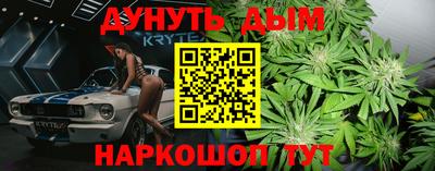 гашик Бийск