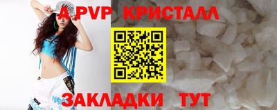 гашик Бийск