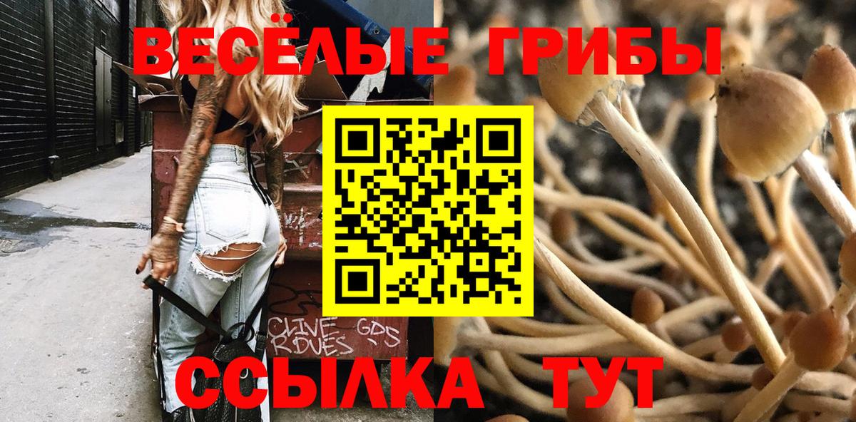 Галлюциногенные грибы мухоморы Звенигород