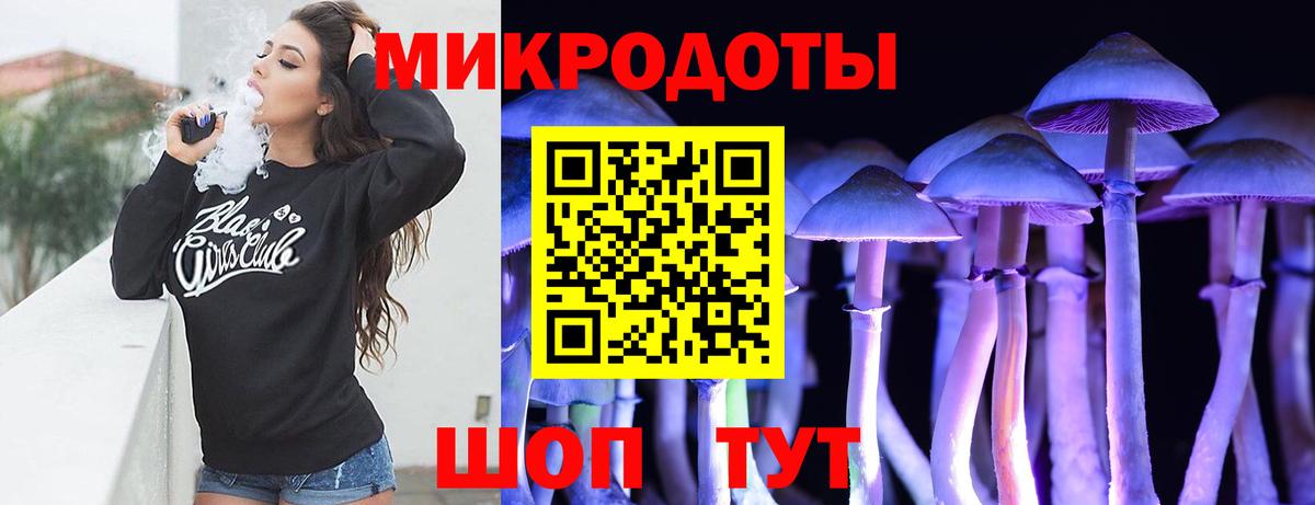 Звенигород  Галлюциногенные грибы MAGIC MUSHROOMS  Вход с VPN  Псилоцибиновые грибы Psilocybe 